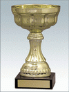 Кубок Битца-2006